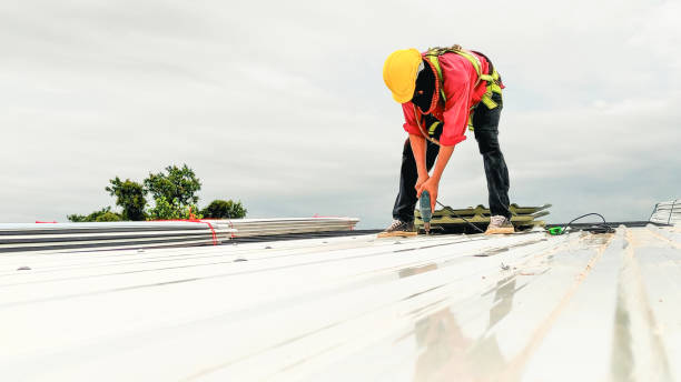 Best Steel Roofing  in Graysville, TN