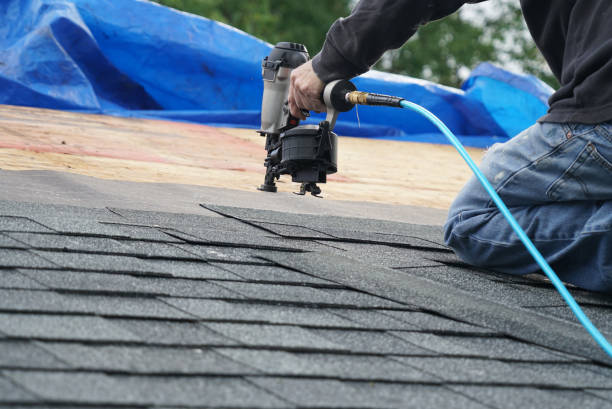 Best Roof Ventilation Installation  in Graysville, TN