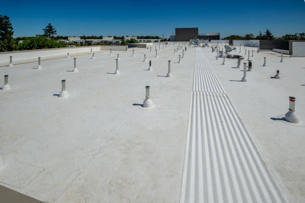 Best Roof Insulation Installation  in Graysville, TN